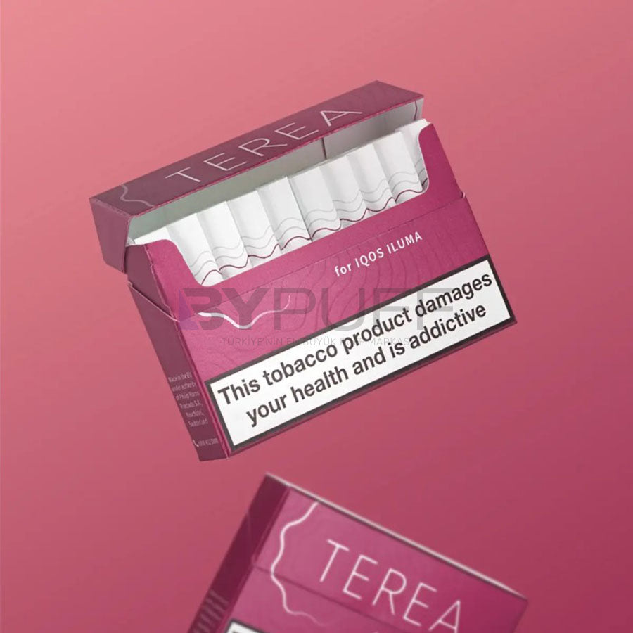 ILUMA TEREA - Russet